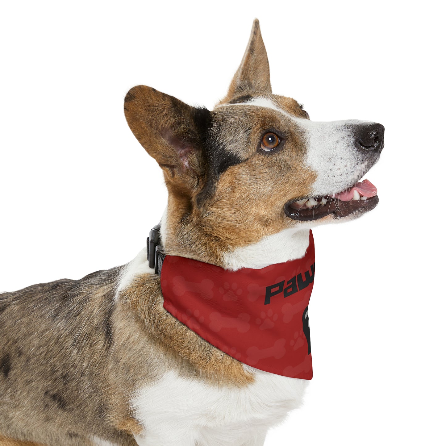 Paws In Pet Bandana Collar